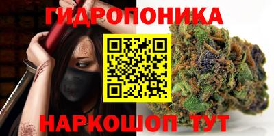 крисы Ипатово