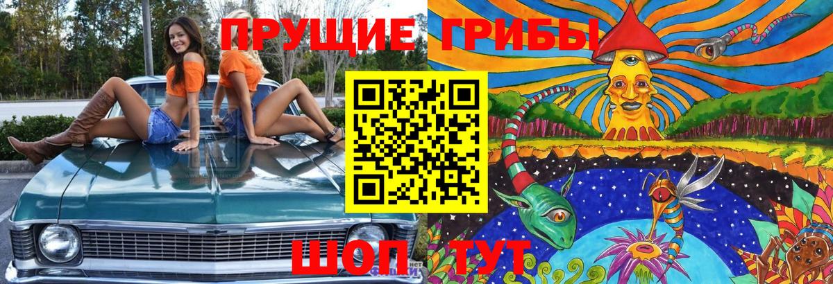 Ивантеевка  Галлюциногенные грибы мухоморы  Вход с VPN  Галлюциногенные грибы Cubensis 
