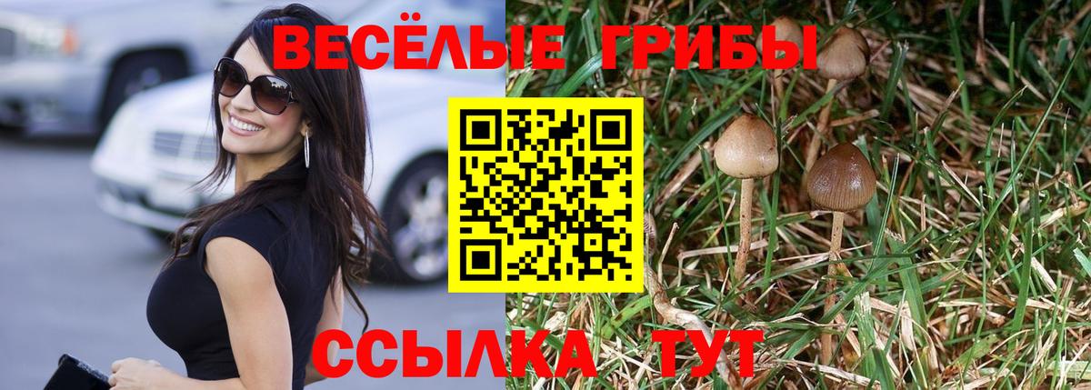Псилоцибиновые грибы ЛСД Ивантеевка